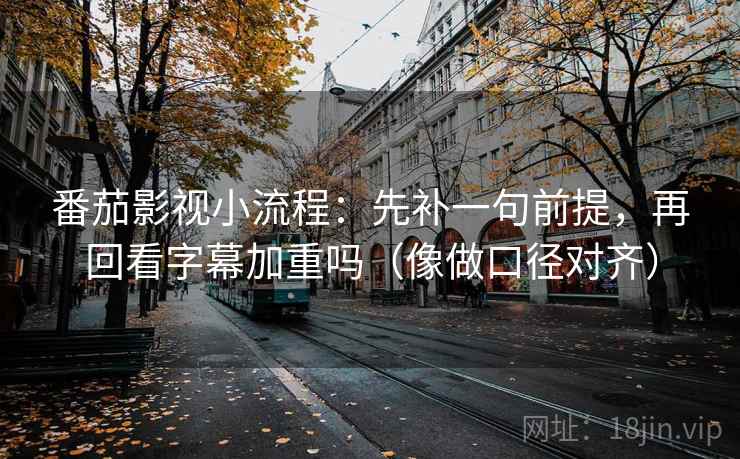 番茄影视小流程：先补一句前提，再回看字幕加重吗（像做口径对齐）