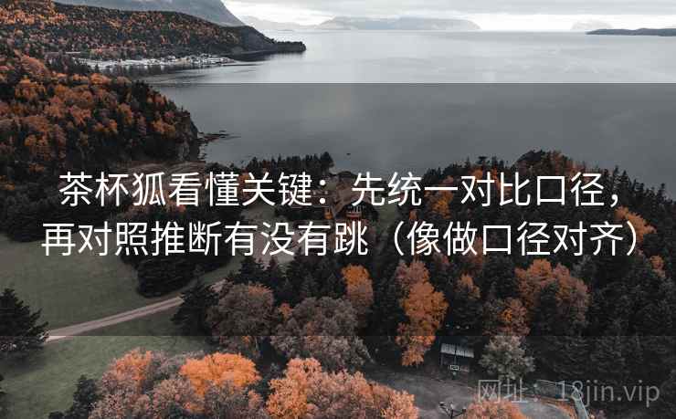 茶杯狐看懂关键:先统一对比口径,再对照推断有没有跳(像做口径对齐) 茶杯狐看懂关键:先统一对比口径,再对照推断有没有跳(像做口径对齐)